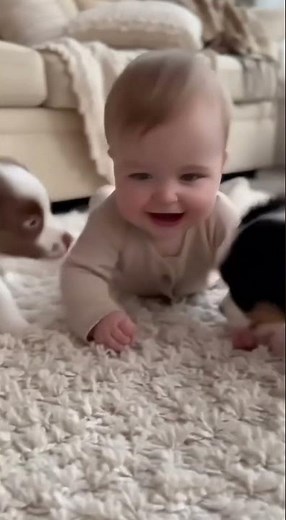 A Baby and Two Border Collie Puppies – A Heartwarming Friendship 🐶👶✨ 그들만의 행복한 시간 #baby #cute