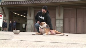 49K views · 654 reactions | Rocko, a dog battling terminal cancer, crossed something off his bucket list after firefighters gave him a special ride around town to make his remaining days the best yet. | Hawaii News Now | Facebook