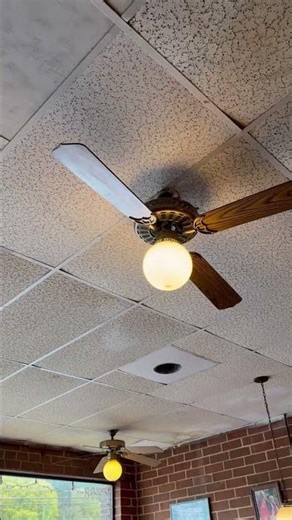 CEC newports and harbor breeze builders best ceiling fans