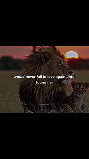 Exploring Love Through Song Lyrics and Voice Effects