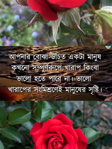 Motivational Bangla Quotes That Inspire Change