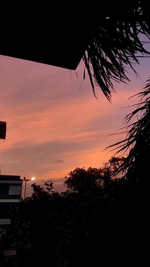 TheBlissfulBlues💙 | Dadaji❤️I know you are somewhere up there! I am just doing fine here I miss you so much even everyone does I just want to show you how... | Instagram