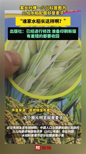 家长吐槽一少儿科普图书 介绍水稻配图却是麦子 “谁家水稻长这样啊？” 出版社：已经进行修改 准备印刷新版 有差错的都要收回