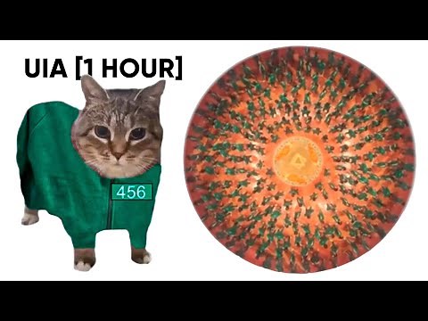 OIIAOIIA CAT x Mingle Game Song [1 HOUR] Uia Cat in Squid Game Season 2