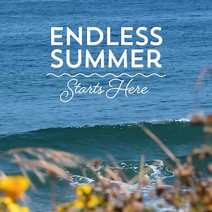 Looking for the perfect place to stay this summer? Choose from boutique waterfront hotels to cozy seaside motels, where you can enjoy breathtaking views and easy access to the beach—all just steps from unforgettable adventures! | Redondo Beach Tourism