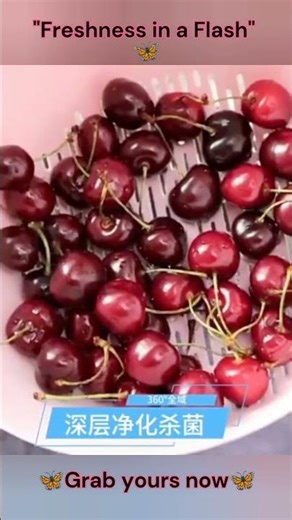 Smart Clean Eating! Daewoo Automatic Fruit & Vegetable Washer 🦋