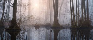 Where the Crawdads Sing Filming Locations Guide & FAQ