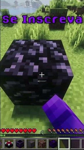 What if you put Efficiency 255 on the Pickaxe?