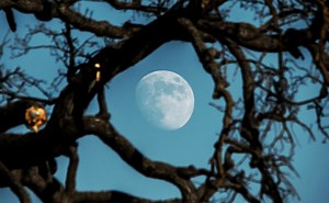 45surf Epic Photography