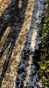 23K views · 1.1K reactions | Manny showing a great deal of restraint..️ | Steve Sanderson Art | Facebook