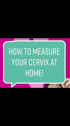 The Tulipon ב-TikTok