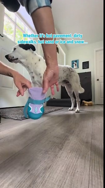 Dog boots, sturdy and not easy to fall off, waterproof and non slip, suitable for lively and active dogs who love to shake their feet - Walmart.com