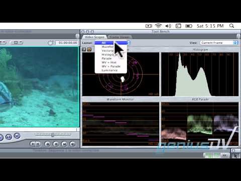 Color Correcting Multiple clips in Final Cut Pro