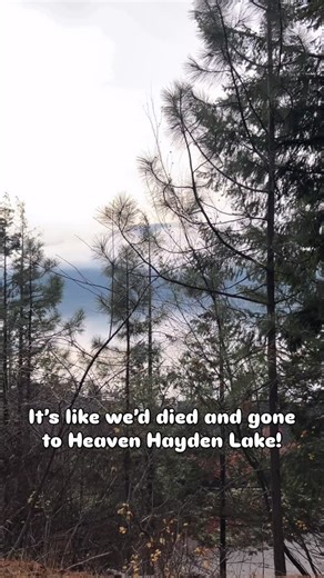 Hayden Lake on Sunday morning, omg. So beautiful!! The sun and mountains hinting through the quiet fog above the lake. The bright orange trees forming a canopy over the winding roads and their fallen leaves 🍁 covering every inch of ground below. We saw deer (and turkeys) and talked with lots of folks about how we can help. No more fences around your bushes, folks! Enjoy your landscaping, no need to put it behind bars. 😊 #haydenlake #hayden #haydenlakeidaho #cda #coeurdaleneidaho #coeurdalene #
