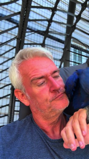 Maggie the Macaw: A Journey with My Feathered Friend