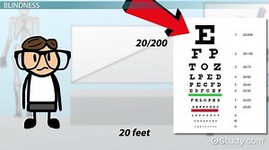 Blindness & Vision Impairment: Medical Vocabulary