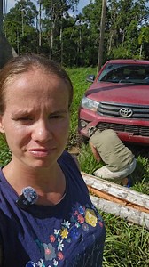 A palm tree fell across our lane #homesteading #JungleAdventure #OffGridLiving | Crazy jungle adventures