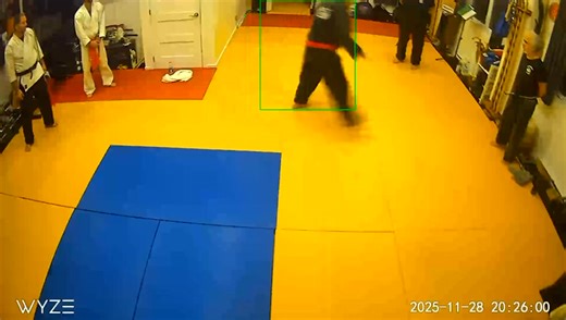 DĀO (刀) — The Chinese Broadsword HOW it is used The Dāo is a single-edged, slightly curved cutting weapon, so its technique focuses on: Primary Techniques Slashing (horizontal, diagonal, vertical) Chopping (power cuts) Hooking & pulling with the curve Deflecting with the back of the blade Circular cuts that follow the body’s movement Sweeping cuts from low to high or high to low Shielding the body with large arcs Footwork & Body Mechanics Strong waist rotation Deep stances for power Fast advanci