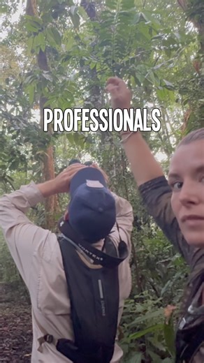 🔥 Certified Training in Tropical Conservation and Wildlife Rehabilitation 🔥 Final Edition 2025 – Enrollment Now Open! 🔥 Experience 4 weeks of immersive learning at the release site of Rescate Wildlife Rescue Center, located in the stunning Golfo Dulce, Costa Rica 🇨🇷. Learn directly from conservation professionals, combining science, wildlife rehabilitation, and hands-on fieldwork that will strengthen your CV and career. 📍 Location: Golfo Dulce – one of the most biodiverse ecosystems on the