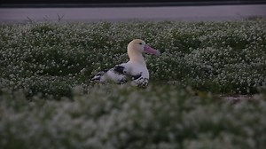 12K views · 341 reactions | On October 23, unobserved and without...