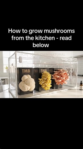 your expert-backed, 3-step guide to a successful flush. 1. Trigger the Pinning (The Cut) Mushrooms need a “signal” that it’s time to reproduce. If you are using a pre-colonized substrate block (the most reliable method for beginners), you must cut an “X” into the plastic bag—usually about 2 to 3 inches wide. • Expert Tip: Don’t remove the plastic entirely! The plastic acts as a “pseudo-bark,” keeping the mycelium hydrated while the “X” focuses all the mushroom’s energy into one or two high-yield