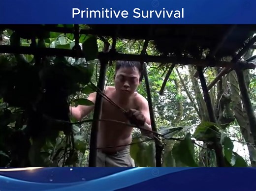 Primitive Technology – Wooden House Underground Survival #PrimitiveSurvival #SurvivalSkills #SurvivalBuild #SurvivalLiving | Primitive Survival