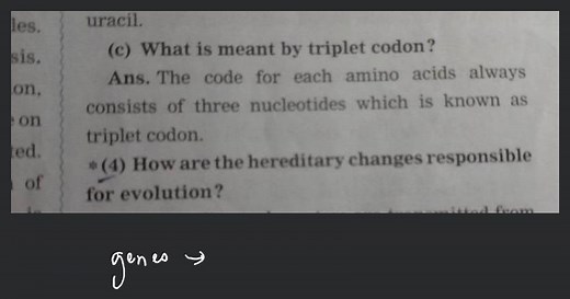 (c) What is meant by triplet codon?Ans. The code for each amin... | Filo