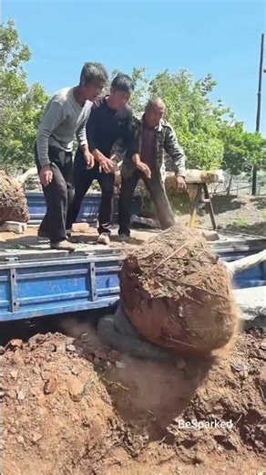 Crape Myrtle Unload Hack 🌳