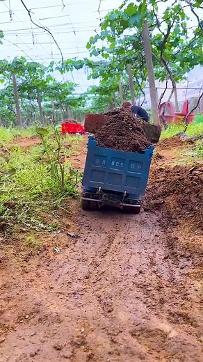 13K views · 253 reactions | MUD Trucks | Best Moment Of Mudding Trucks 6x6 #toytruck #rc #rctoy #toyrc #toytoy #toycar #rccar #trucktoy #truckrc #truckcontrol #toycontrol #offroad #rcoffroad #toyoffroad | RC KN | Facebook