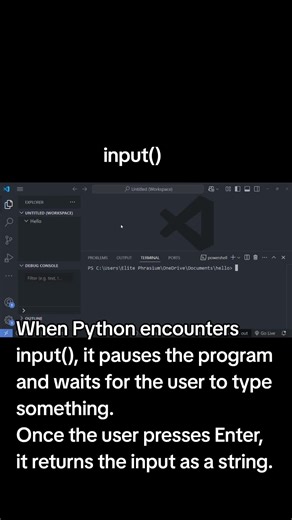 #phython#hello#input#name