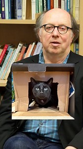 Cats are mathematically smart. They can count to nine, they are rarely heading for a fall, and when they are, they always land on their feet. But sometimes they just don't know whether they are coming or going. #maths #cats #stem | Oxford Mathematics