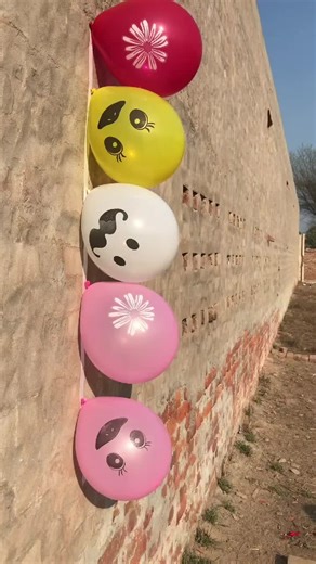 Funny New Cartoon Video for Kids