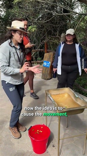 Water Flows Differently At The Equator 🤯 #Equator #MindBlown #ScienceFacts