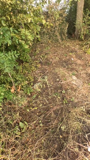 픹핦하할핣_핖핒ퟟ… on Instagram