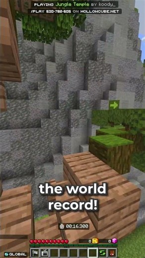 I Finally Got World Record on this Minecraft Map