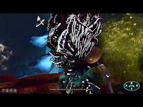 Baldur's Gate 3 - How To Get The Caustic Band (Uncommon) (ACT 1)