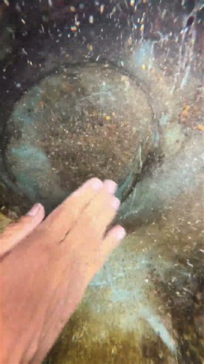 Collect gold treasures from the water.