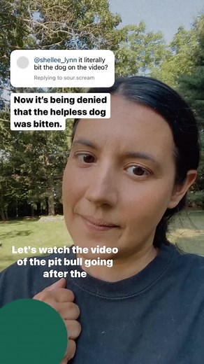 Understanding Dog Behavior: Analyzing a Pit Bull's Aggression Towards Another Dog