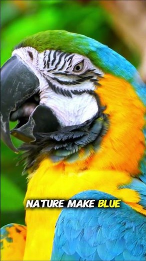 Why Is Blue So Rare in Nature? | #science #explained #colorscience #nature