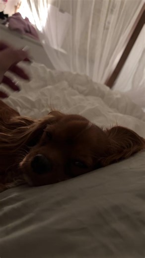 Shmeeky (@_________________loading)’s videos with original sound - Hathway