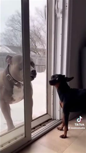 subscribe for good luck 2026