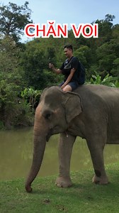 40K views · 1.1K reactions | Đi chăn voi cùng mình tiếp nhé anh chị em 殺 Vlog này mình dẫn em Y Duin Niê đi chăn Bà Voi Na Túc của nhà Bác Mình, Chăn voi là sinh kế và văn hoá bản địa Hồ Lăk – không phải du lịch cưỡi voi, không khai thác voi. #dangholak #Vlog #dichanvoi #taynguyen #convoi | Bing Y Lâm Đăng | Facebook