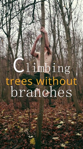 Climbing trees without branches (the palm tree climb)