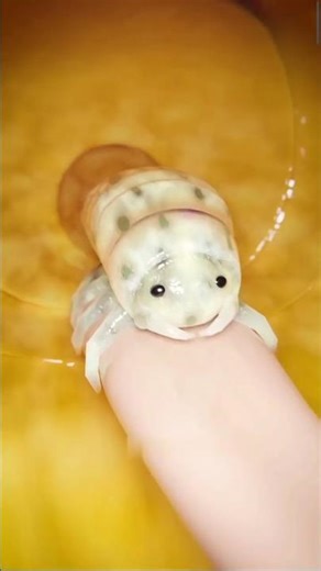 The Parasite that TURNS Fish Into Zombies EXPOSED 🐟🧟‍♂️