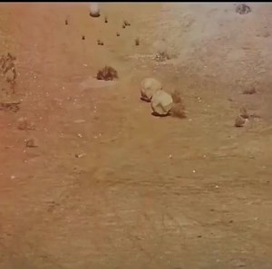 9.4M views · 259K reactions | funny | Amazing Life Channel | Facebook