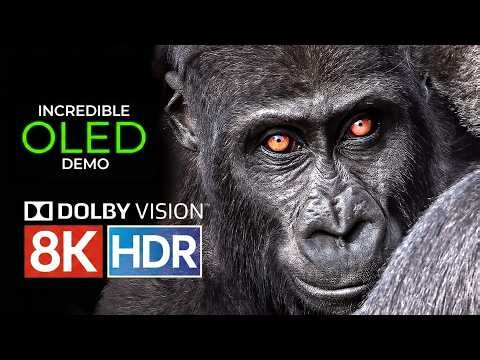 8K REAL HDR - Breathtaking Landscapes & Wild Animals 12K TEST 4K HDR VIDEO ULTRA HD