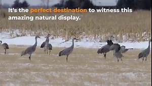 364 reactions · 60 shares | Each Spring, the most incredible...