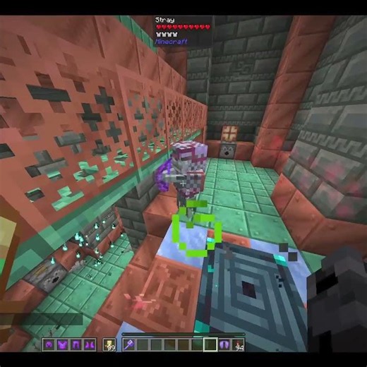 5 in 1 Trial Chamber Potion #minecraft #gaming #survival