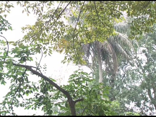 Cầu vồng tình yêu (tập 74/3) | Chia tay | #cauvongtinhyeu #couplemananh #hongdanghongdiem #minhkhangmocmien #songhong