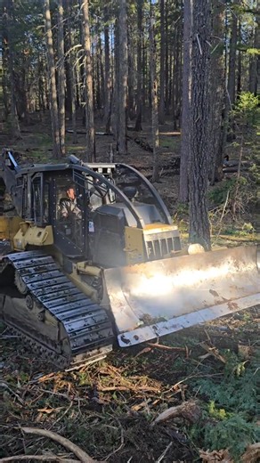 288K views · 2.4K reactions | Tigercat machine 漢蝹 . . . . #tigercatmachines #tigercatforestry #forestry #logging #heavyequipment #forestryequipment #timberharvest #skidder #bogie #bogieskidder #cosechaforestal #equiposforestales #maquinasforestales #maquinariaforestal #operacionforestal #colheitaflorestal | Peake Warren | Facebook